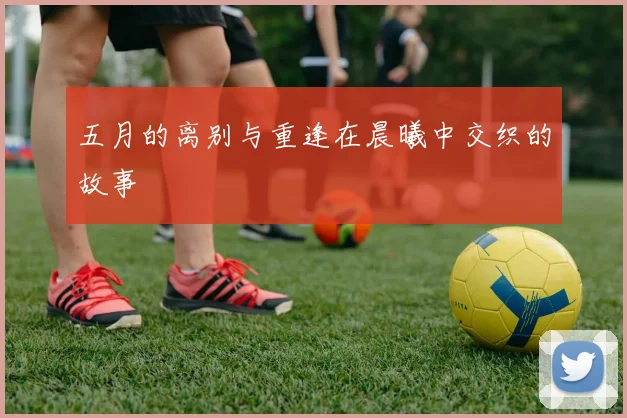 五月的离别与重逢在晨曦中交织的故事