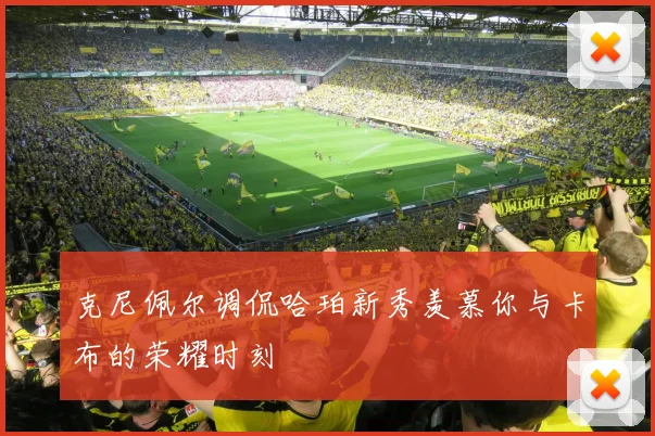 克尼佩尔调侃哈珀新秀羡慕你与卡布的荣耀时刻